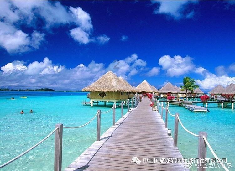 血浆NGS跟踪EGFR突变非小细胞肺癌的克隆演变,以及C797S获得性突变的治疗